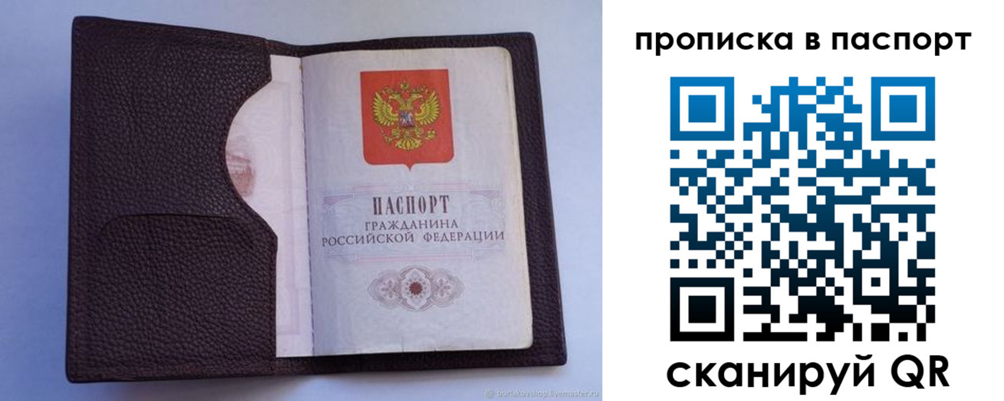 прописка законно в Калтане